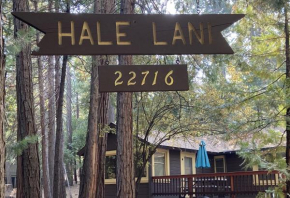Hale Lani 16 cabin